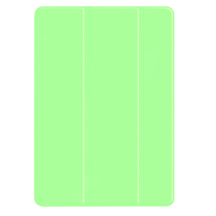CSTIPAD2017MINT