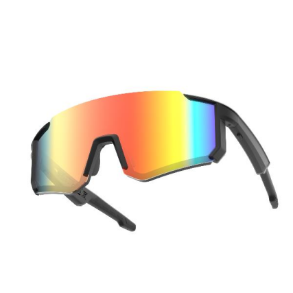 NXSGSPGLASSESBK